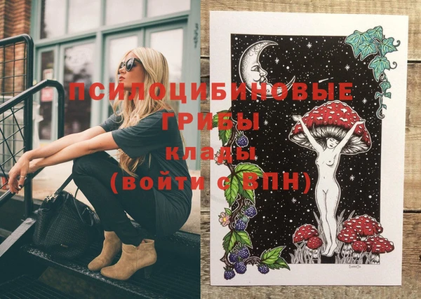 индика Магадан