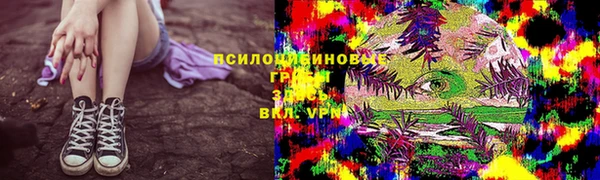 твердый Медногорск