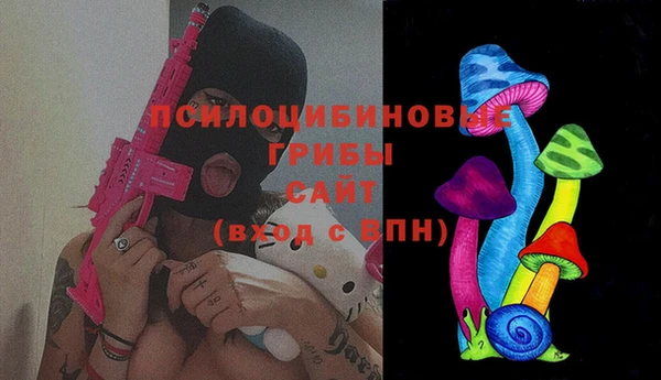 индика Магадан
