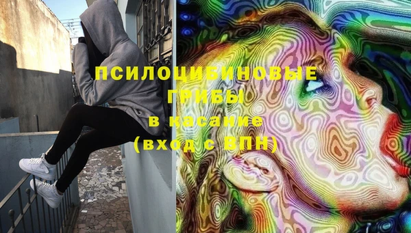 дурь Магас