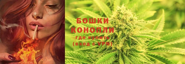 индика Магадан