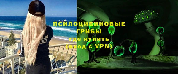 индика Магадан